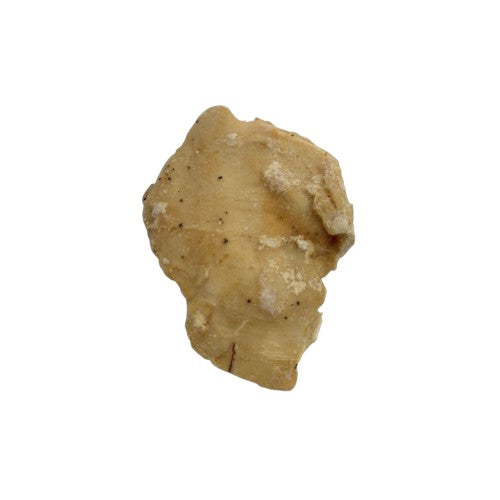 PECHUGA MARINADA DE POLLO SAVORY